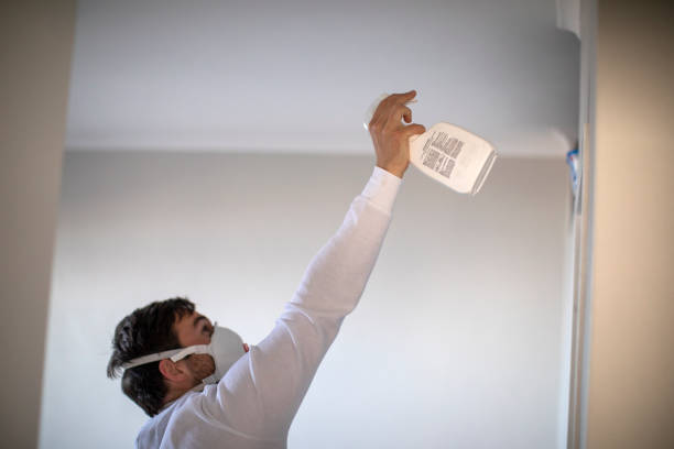 Best Toxic Mold Removal  in Winchester, CA