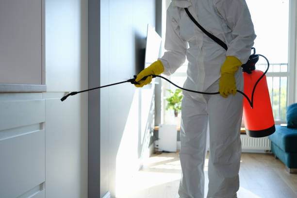 Best Mold Remediation  in Winchester, CA